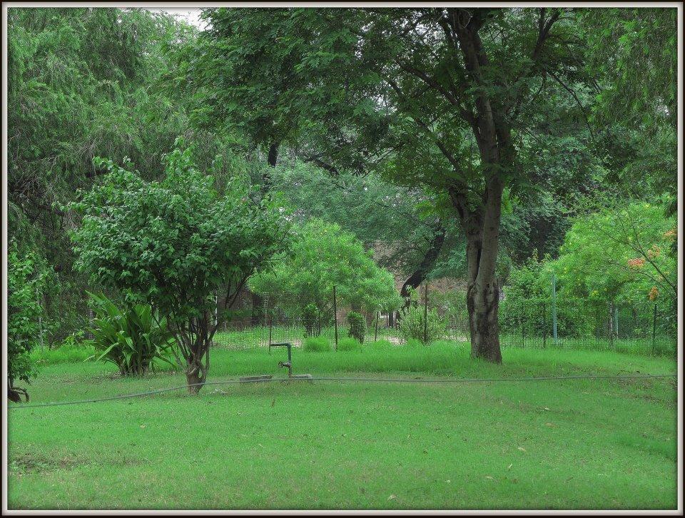 Hotel Bharatpur Ashok Esterno foto